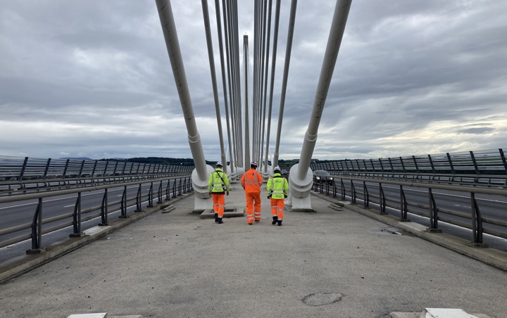 Inspection and investigation icon